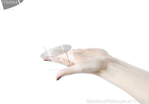 Image of Empty open woman's hands isolated on white 