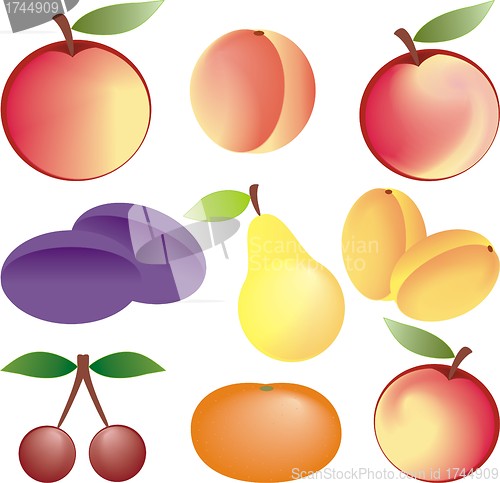 Image of fruits vector set