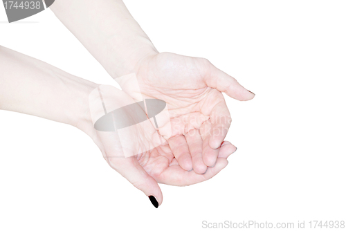 Image of Empty open woman's hands isolated on white