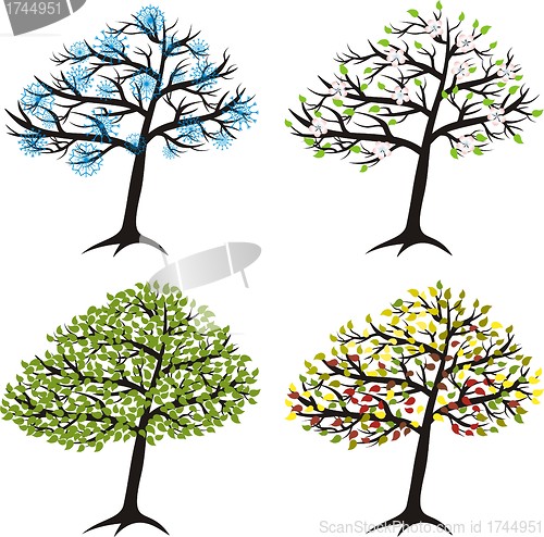 Image of season tree for winter, spring, summer, autumn