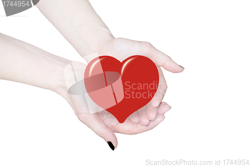 Image of hands holding heart, love or medical concept 