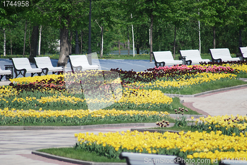 Image of outdoor - city park in Moscow at the spring and summer