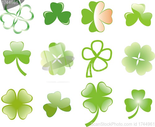 Image of clover or shamrock  for St Patrick’s day