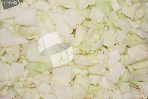 Image of cabbage  background