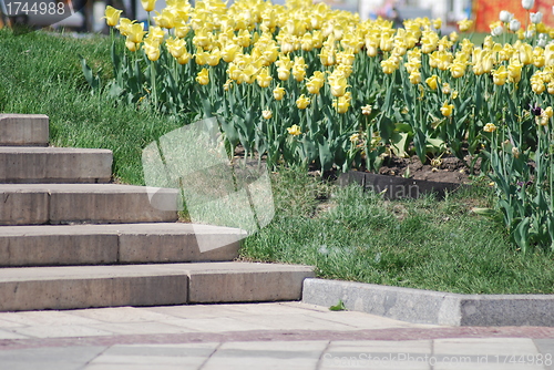 Image of staircase and flowerbed in a park at the spring 