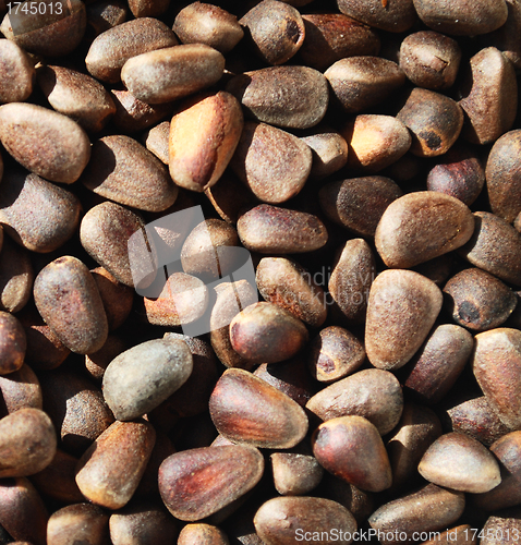 Image of Pine nuts background, brown natural texture