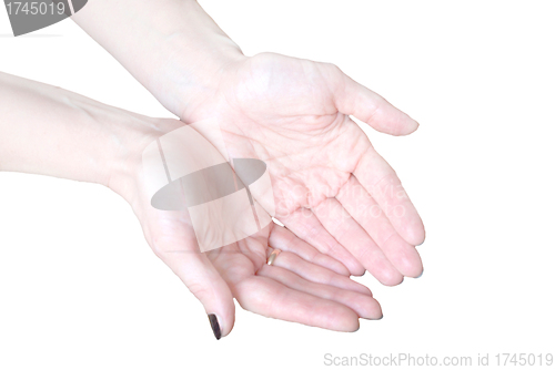 Image of Empty open woman's hands isolated on white