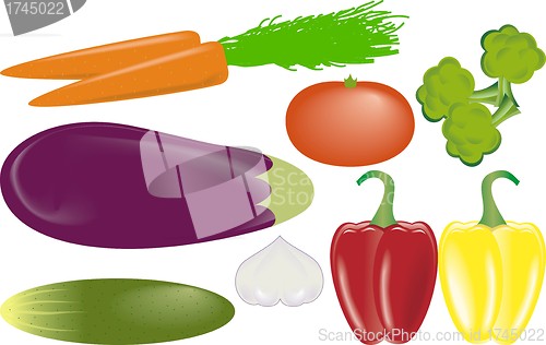 Image of vegetables vector set 