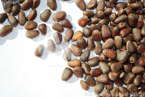 Image of pine nuts on white, not peeled 