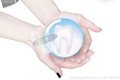 Image of hands holding tooth in glass sphere, dentistry  