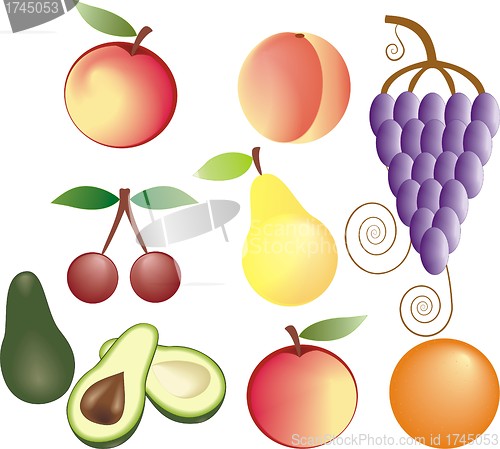 Image of fruits vector set