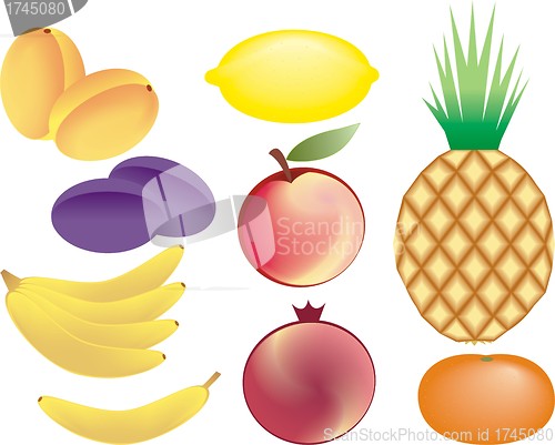 Image of fruits vector set