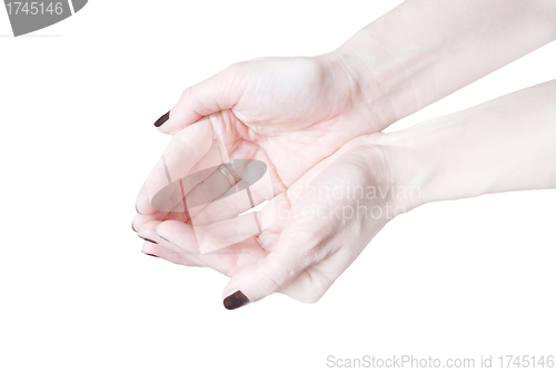 Image of Empty open woman's hands isolated on white