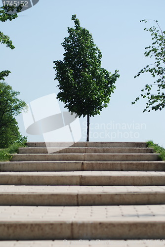 Image of stairs to a wood  