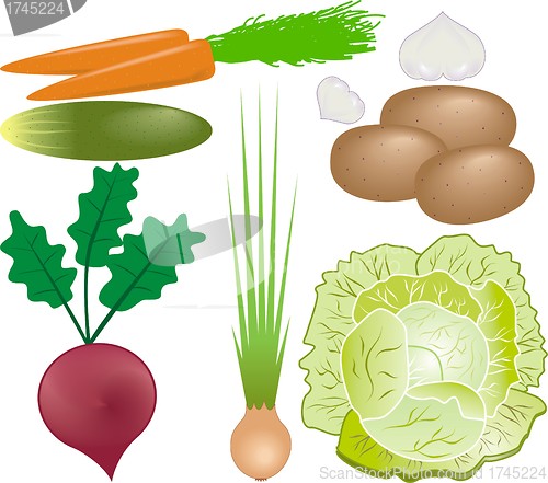 Image of vegetables vector set 