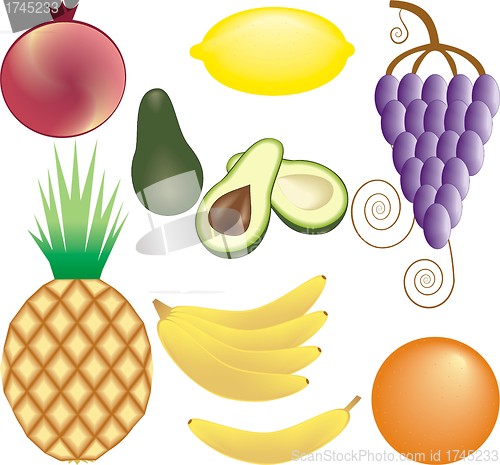 Image of fruits vector set