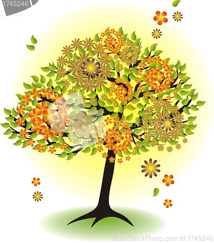 Image of season tree for summer with leafs and flowers 