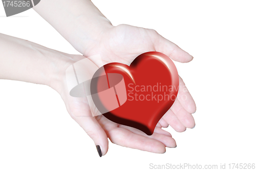 Image of hands holding heart, love or medical concept 