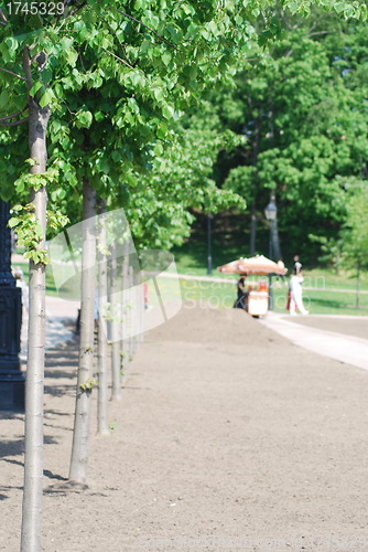 Image of outdoor - city park in Moscow at the spring and summer