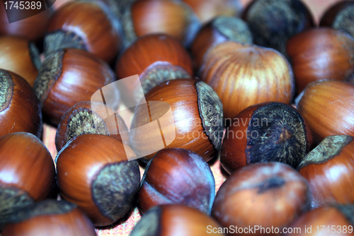 Image of walnuts background and texture