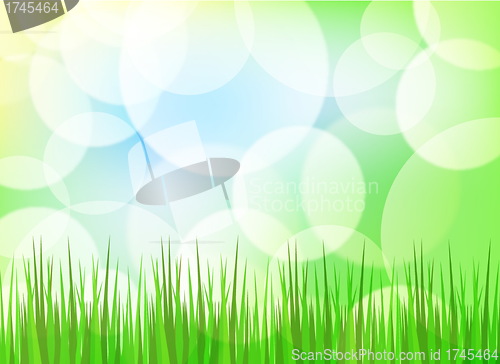 Image of Green spring background with grass and blurry light