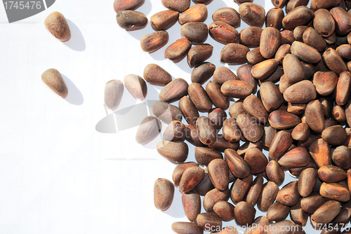 Image of pine nuts on white, not peeled 