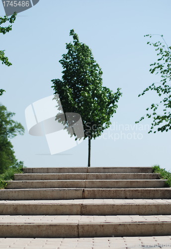 Image of stairs to a wood  