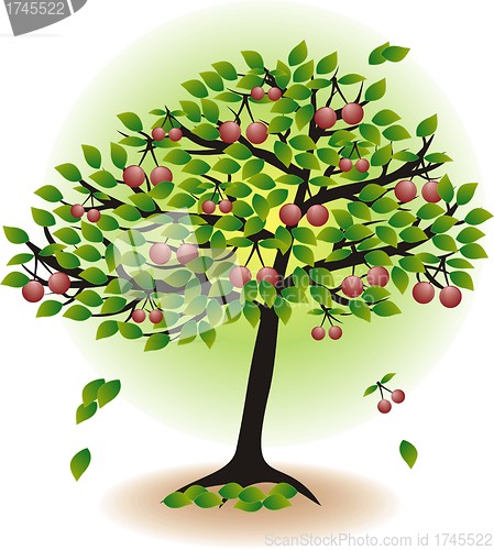Image of fruit tree with leafs and cherry isolated on white   