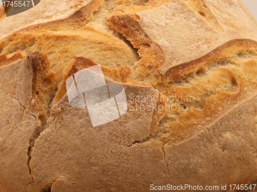 Image of Bread