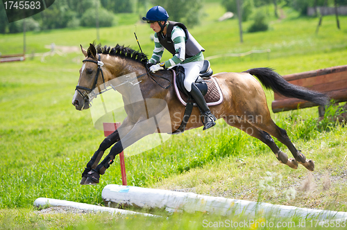 Image of Eventer on horse is overcomes the open ditch