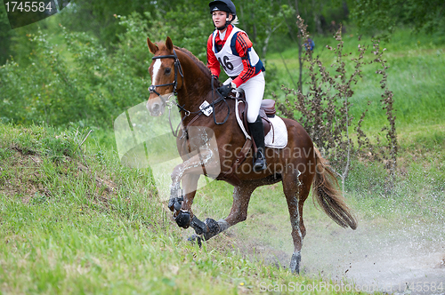 Image of Eventer on horse is overcomes the Water jump