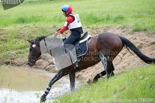 Image of Eventer on horse is overcomes the Water jump