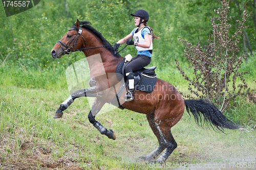 Image of Woman eventer on horse is overcomes the Ski jump