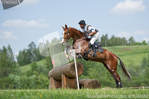 Image of Eventer on horse is overcomes the Log fence