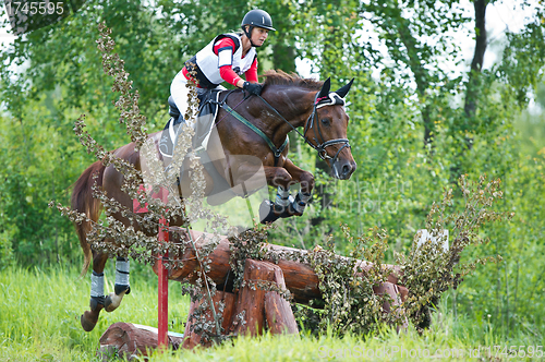 Image of Woman eventer on horse is overcomes the fence