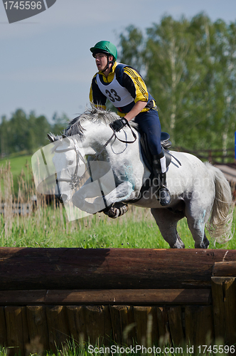 Image of Eventer on horse is Drop fence in Water jump