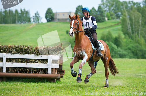 Image of Cross-country. Unidentified rider on horse