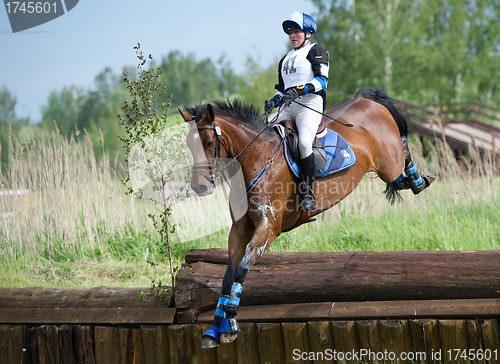 Image of Woman eventer on horse is Drop fence in Water jump