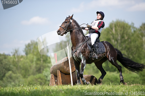 Image of Cross-country. Disobedience (zakidka) horse