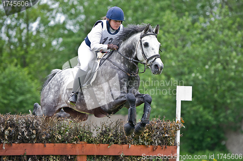 Image of Woman eventer on horse is overcomes the fence