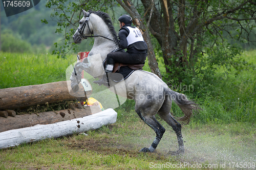 Image of Eventer on horse is overcomes the Log fence