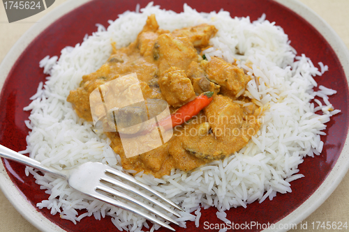 Image of chicken cashew curry plate