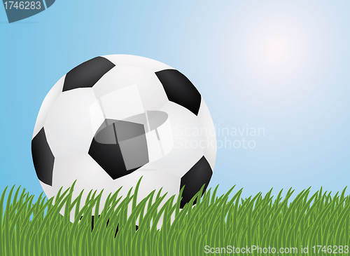 Image of ball in a grass