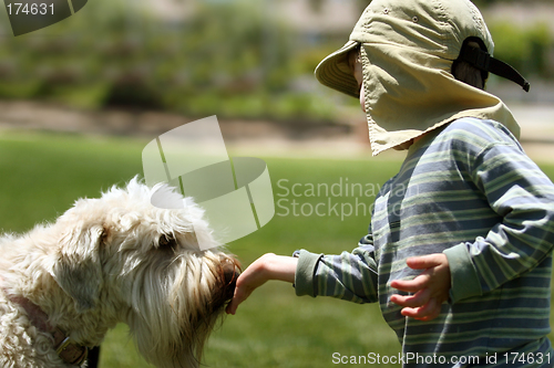 Image of Boy feeding his dog