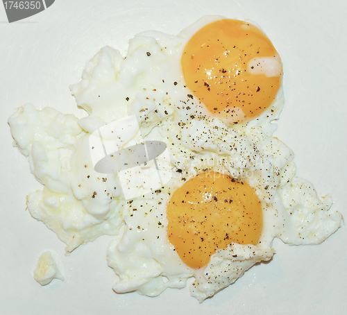 Image of Fried egg