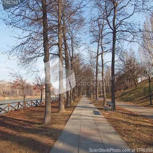 Image of Path among trees