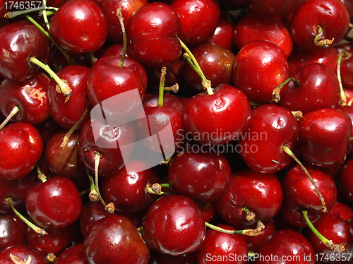 Image of Cherry