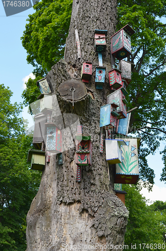 Image of Old dead tree trunk colorful bird nesting-boxes 