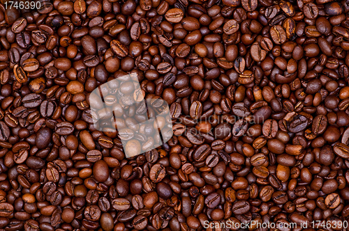 Image of Coffee beans