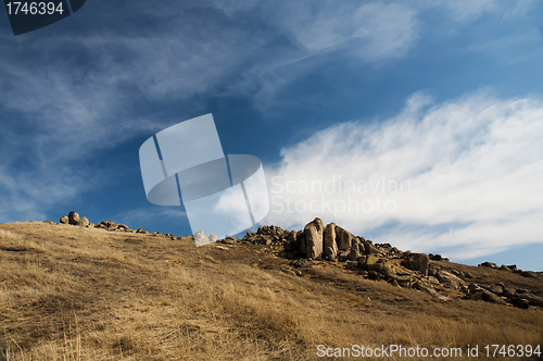 Image of Summer landscape